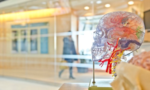 fig 31 07 2023 22 35 04